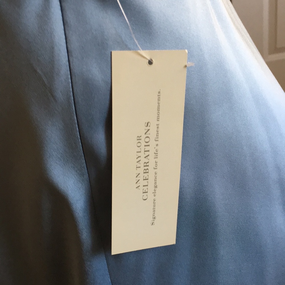 75% OFF SALE -- NEW — Ann Taylor Celebrations Evening Dress - Sz 2 - Picture 5 of 8